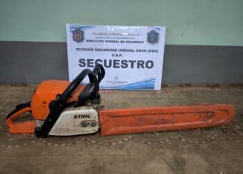 Lo demoraron con una motosierra de dudosa procedencia