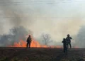 Alerta por incendios forestales en Salta: Orán alcanzó un nivel de riesgo extremo