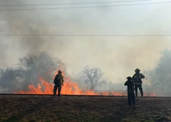 Alerta por incendios forestales en Salta: Orán alcanzó un nivel de riesgo extremo