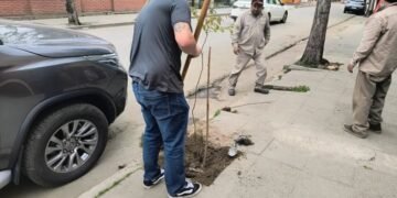 Pidió disculpas y plantará árboles en la ciudad
