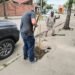 Pidió disculpas y plantará árboles en la ciudad