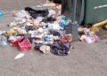 Algunos vecinos tampoco colaboran con la limpieza de la ciudad