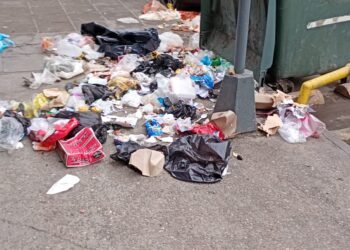 Algunos vecinos tampoco colaboran con la limpieza de la ciudad