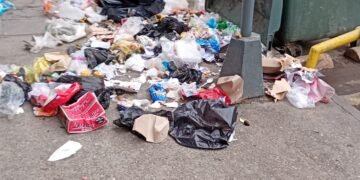 Algunos vecinos tampoco colaboran con la limpieza de la ciudad