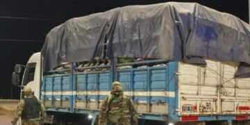 Incautaron más de cuatro toneladas de carbón vegetal en La Estrella
