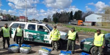 Gendarmería interceptó 115 kilos de hojas de coca