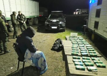 Gendarmería secuestró 52 kilos de cocaína y detuvo a una persona en Santa Fe