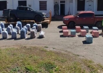 Incautaron 24.050 paquetes de cigarrillos y 780 kilos de hojas de coca
