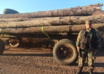 La Policía incautó un cargamento ilegal de madera en Colonia Santa Rosa