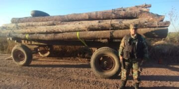 La Policía incautó un cargamento ilegal de madera en Colonia Santa Rosa