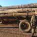 La Policía incautó un cargamento ilegal de madera en Colonia Santa Rosa