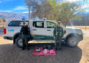 Decomisaron más de 17 kilos de marihuana durante controles a colectivos en Tucumán