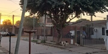 Vecinos denuncian un poste a punto de caerse