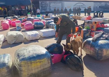 Golpe al contrabando: Interceptaron a cuatro colectivos que partieron desde Salta con mercadería valuada en $550 millones
