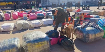 Golpe al contrabando: Interceptaron a cuatro colectivos que partieron desde Salta con mercadería valuada en $550 millones