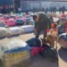 Golpe al contrabando: Interceptaron a cuatro colectivos que partieron desde Salta con mercadería valuada en $550 millones