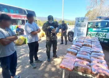Mujer partió de Orán con 49 kilos de marihuana y 4 kilos de cocaína