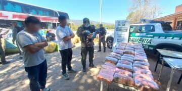 Mujer partió de Orán con 49 kilos de marihuana y 4 kilos de cocaína