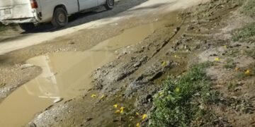 Vecinos denuncian una pérdida de agua