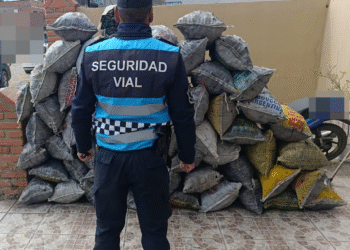 La policía secuestró más de 300 kilos de carbón