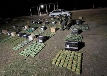 Gendarmería incautó más de 330 kilogramos de hojas de coca en Tucumán