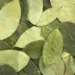 Secuestraron más de 2000 kilos de coca que iban a Buenos Aires desde Salvador Mazza