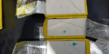 Escaparon de la Federal y dejaron 10 kilos de cocaína con la marca del Delfín