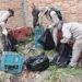 Descacharrado selectivo en los barrios 20 de Junio y Santa Rita