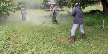 Tareas de limpieza y desmalezado en Casa Divina Providencia