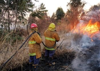 Alerta roja por incendios: Capital, Orán y Tartagal están en nivel alto de peligro