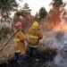 Alerta roja por incendios: Capital, Orán y Tartagal están en nivel alto de peligro