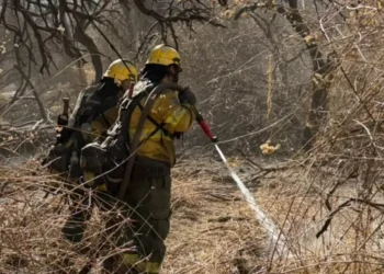 Capital, Orán y Tartagal con riesgo Riesgo muy alto de incendios