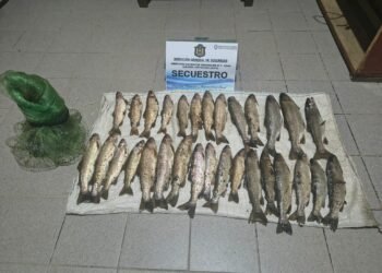 La Policía incauto 30 pescados y una red en Los Toldos