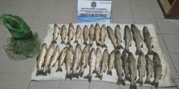 La Policía incauto 30 pescados y una red en Los Toldos