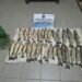 La Policía incauto 30 pescados y una red en Los Toldos