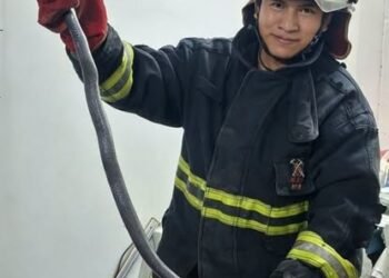 Bomberos rescataron una víbora en el B° 20 de Febrero