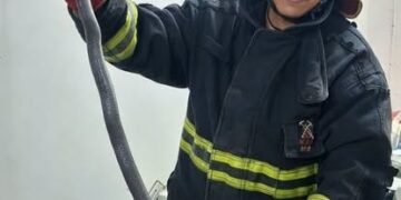 Bomberos rescataron una víbora en el B° 20 de Febrero