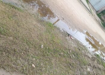 Vecinos denuncian agua estancada