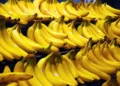 Diputados sancionaron la protección fitosanitaria para la banana salteña
