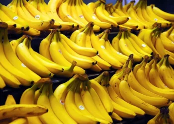 Diputados sancionaron la protección fitosanitaria para la banana salteña