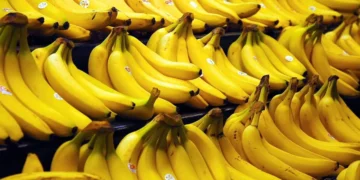 Diputados sancionaron la protección fitosanitaria para la banana salteña