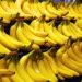 Diputados sancionaron la protección fitosanitaria para la banana salteña