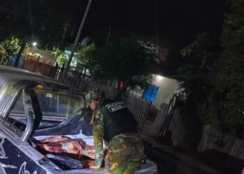 La policía secuestró dos vacunos faenados transportados sin documentación
