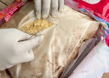 Traficaba 3 kilos de cocaína dentro de un paquete de jabón en polvo