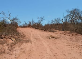 Pichanal: Ordenan medidas urgentes por la contaminación de un pozo petrolero