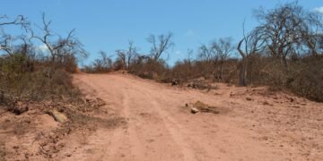 Pichanal: Ordenan medidas urgentes por la contaminación de un pozo petrolero