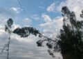 Robo de madera provocó un corte de luz