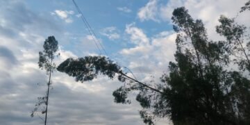 Robo de madera provocó un corte de luz