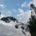Robo de madera provocó un corte de luz