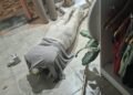 Siguen los hechos vandálicos en pleno centro de Orán